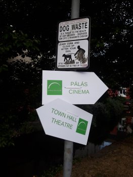 Helpful Film Fleadh signposts