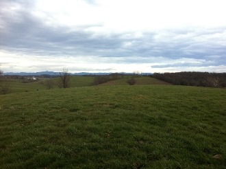 View from grave
